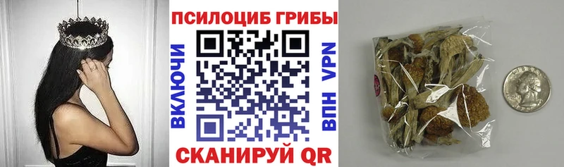 Галлюциногенные грибы прущие грибы где купить наркоту Порхов